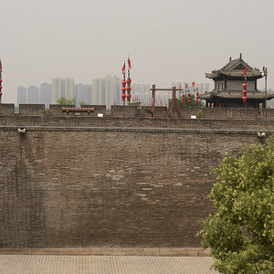 DSC_9657_01.JPG