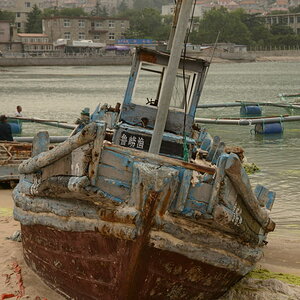 DSC_9817_01.JPG