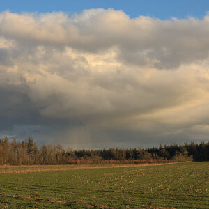 Nordfrieslandschaft.jpg