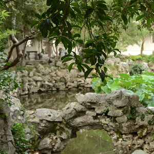 DSC_9861_01.JPG