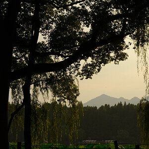 DSC_9877_01.JPG
