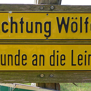 Wölfe.jpg