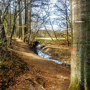 TZ_DSC02684_A.jpg