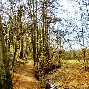 TZ_DSC02687_B.jpg