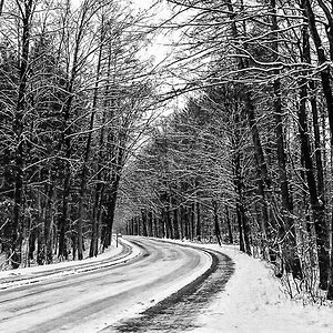 TZ_012_13.jpg