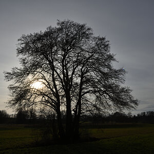DSC_6057.JPG
