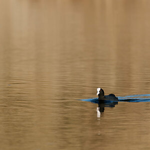 PANA0834_DxO1200.jpg