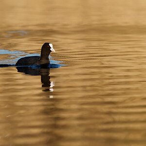 PANA1230_DxO1200.jpg
