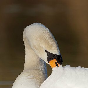 PANA0800_DxO1200.jpg