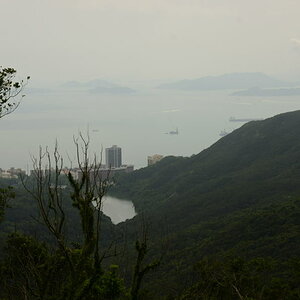 DSC_0177.JPG
