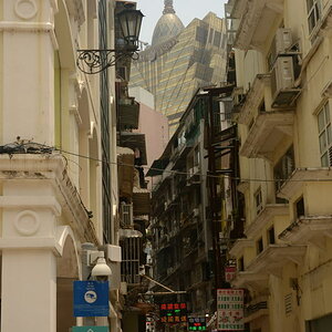 DSC_0252_01.JPG