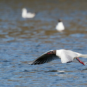 P3281801_DxO_DxO1200.jpg