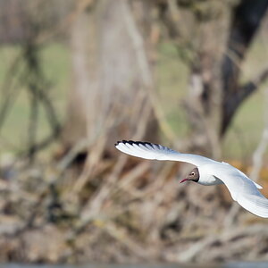 P3281822_DxO1200.jpg