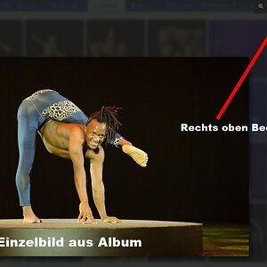 album2.jpg