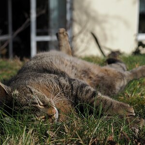 P3292086 (2)n.JPG