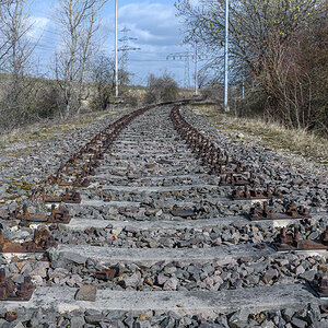 OF2_48394.jpg