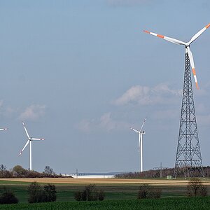 C71_2726.jpg