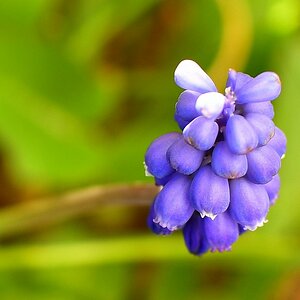 D50_2208.JPG