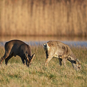 811_5422at5l10fs-5fks70p1.jpg