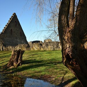 DSC_2611_00001_02n.jpg