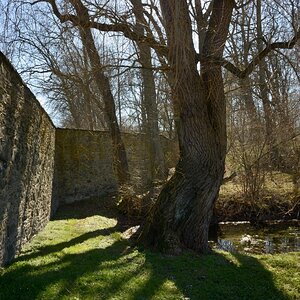 DSC_2620_00001n.jpg