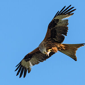 OF5_02358.jpg