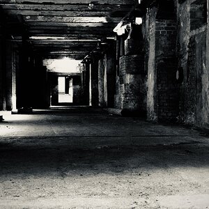 DSC_2247.jpeg