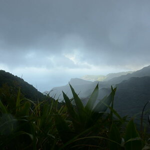 DSC_0420_01.JPG