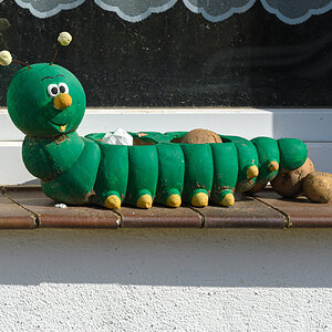 OF5_09659.jpg