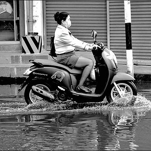 comp_Rainy Days.jpg