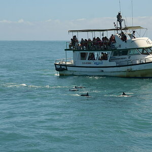 DSC_0495_beab_01.JPG