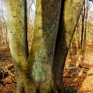 TZ_DSC02694_A.jpg