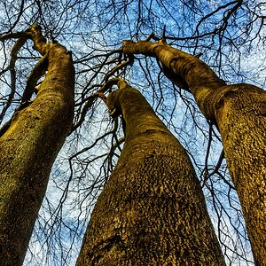 TZ_DSC02695_A.jpg