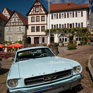 Mustang-2247.jpg