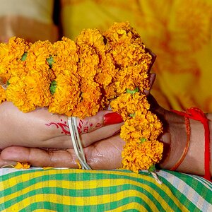 DSC00627[16452].JPG