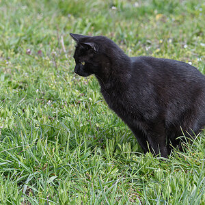 OF5_09878.jpg