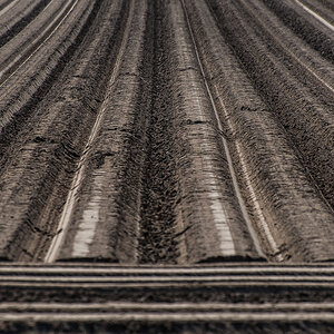 Kartoffeln (1 von 1).JPG