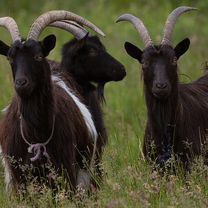 _DSC0749-Bearbeitet-1.jpg