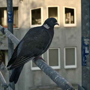 DSC00119.jpeg