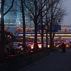 DSC_8729_01.JPG