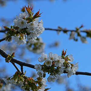 811_7196at25l10fks70p1.jpg