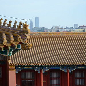 DSC_7323.JPG