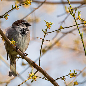 _DSC1352-Verbessert-Bearbeitet-1.jpg
