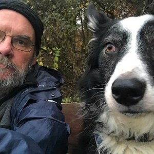 Hund und Herr...