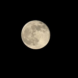 700_2547.jpg