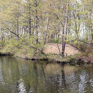 20210428-001-3.jpg