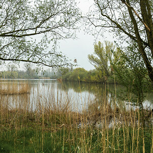 _Z7F9262#.JPG