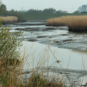 F80_2727#.JPG