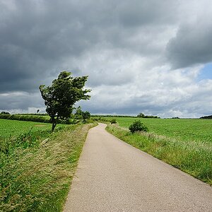 beiDollerupholz WindimLand14
