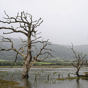 Porlock (Somerset)